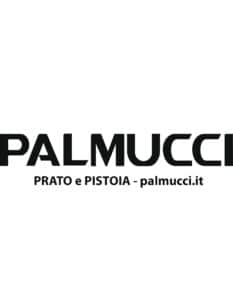 PALMUCCI vettoriale ok ok page 0001 233x300