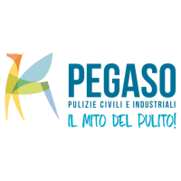 Pegaso 1