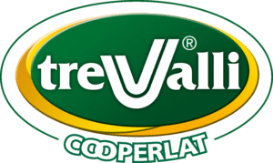 TREVALLI COOPERLAT LogoHR 300x179